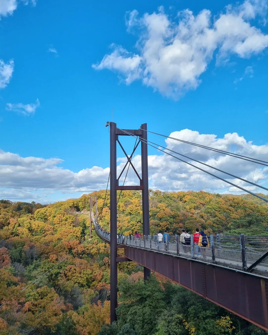 🌉 별의 그네 (호시노 부란코) 이미지 5